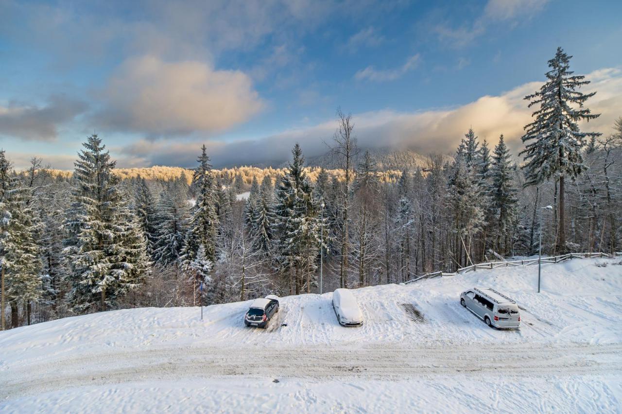 Silver Sunrise Studio In Silver Mountain Poiana Brasov Bagian luar foto